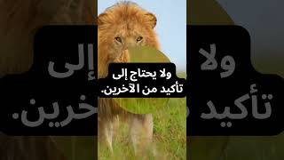 motivation ازاى تطور نفسك وتغير حياتك - انت تستاهل تبقي الأقوي تحفيز