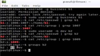 How to add user to group in Linux