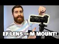 How to Use EF Lenses with Your Canon M50 - Commlite Adapter Review!