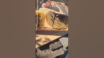 the honeycomb is secured to the frames with rubber bands.