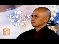 Pain, Despair, and The Second Arrow | Thich Nhat Hanh (short teaching video)