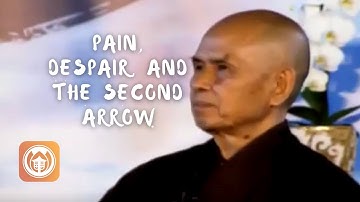 Pain, Despair, and The Second Arrow | Thich Nhat Hanh (short teaching video)