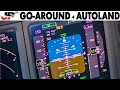 Boeing 737 Hot Approach due to fog | Go Around + Automatic Landing (2009)
