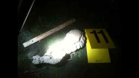 Get a Forensic Job! Forensic Science Academy