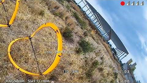 Analog vs Digital Sharkbyte racing