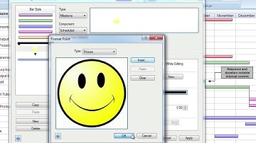 FastTrack Schedule 10 Customizing Your Schedule Win HD