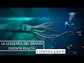 IL CALAMARO GIGANTE CHE AFFONDA LE NAVI 🐙