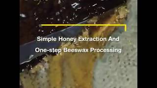 Simple Honey Extraction And One-step Beeswax Processing