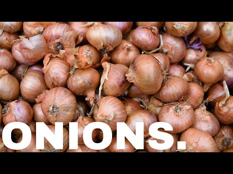 Video: Iš kurios šalies atsirado svogūnai?