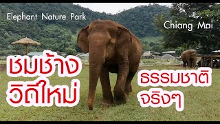 ชมช้างแบบธรรมชาติ สวรรค์ของช้างและสัตว์อื่นๆ อ.แม่แตง จ.เชียงใหม่ Elephant Nature Park, THAILAND