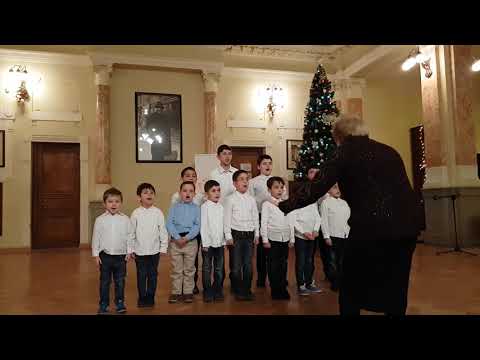 ანსამბლი \"ალიონი\" 26.12. 2018 ხელმძღვანელი -მანანა ფერაძე