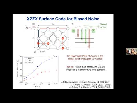 Noise Tailored Quantum