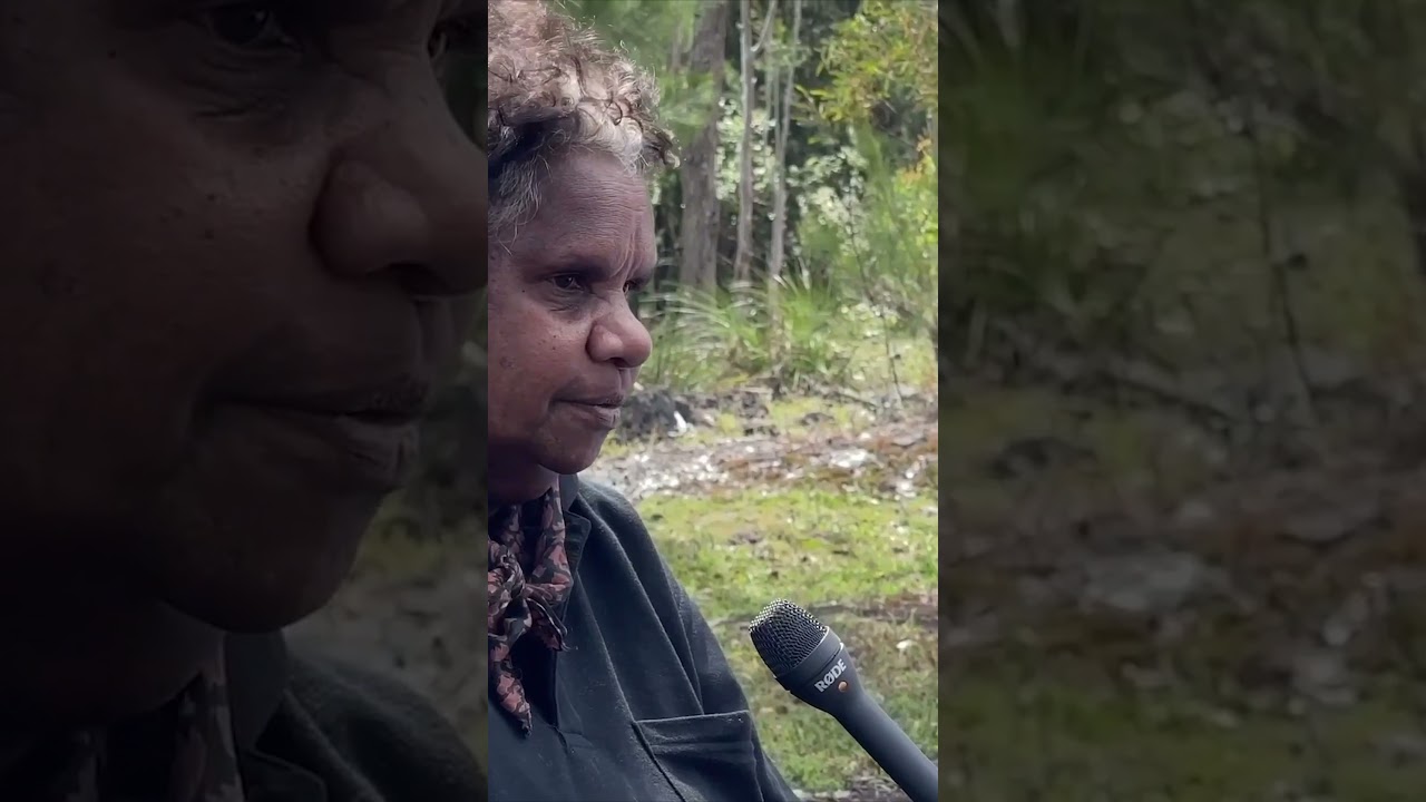 Forests bulldozed for green energy grift | SPECIAL REPORT from NICK CATER