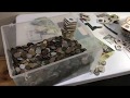 Introducing the best bulk world coin lot  unbelievable