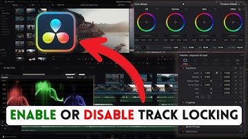 How to Enable or Disable Track Locking in DaVinci Resolve 2025?