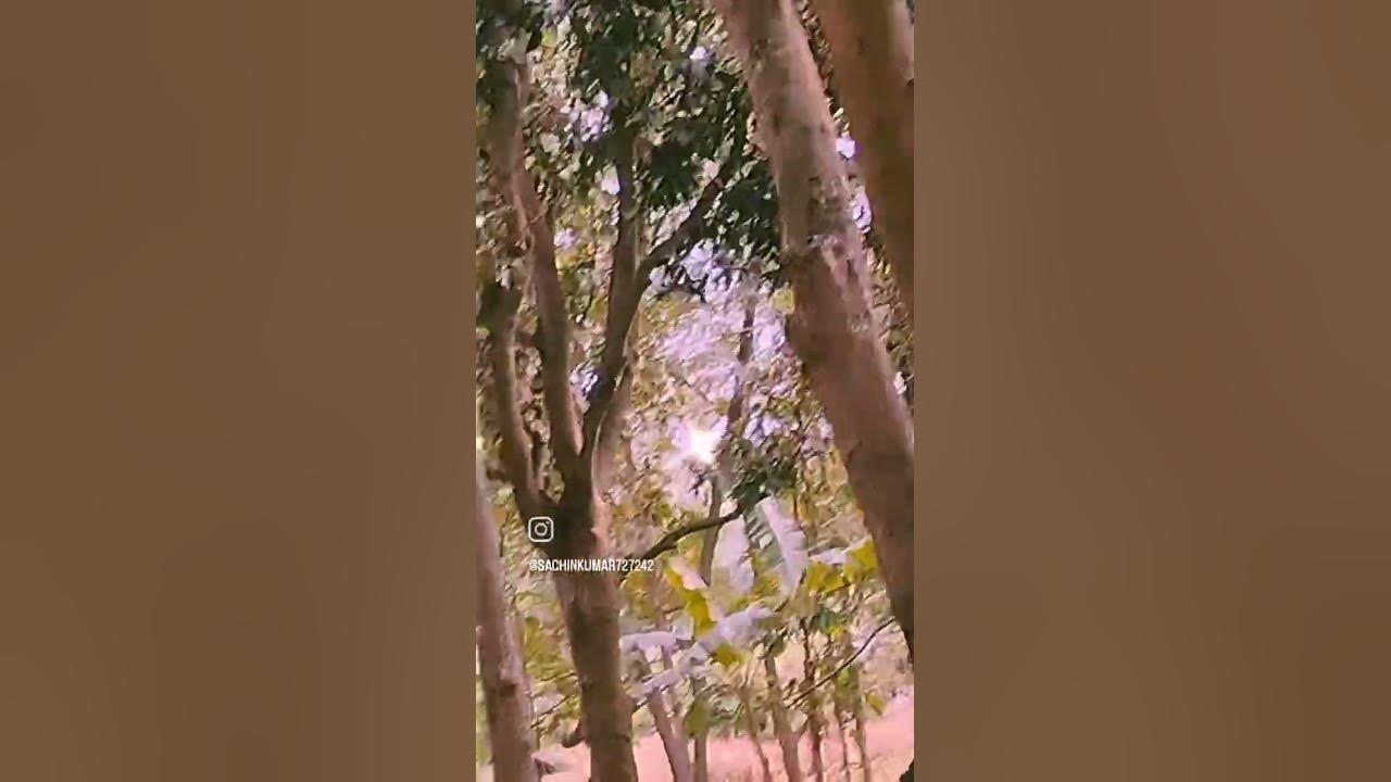 #video #song #love hindi old songs short