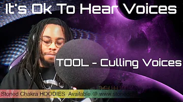 Stoned Chakra Reacts!!! TOOL - Culling Voices