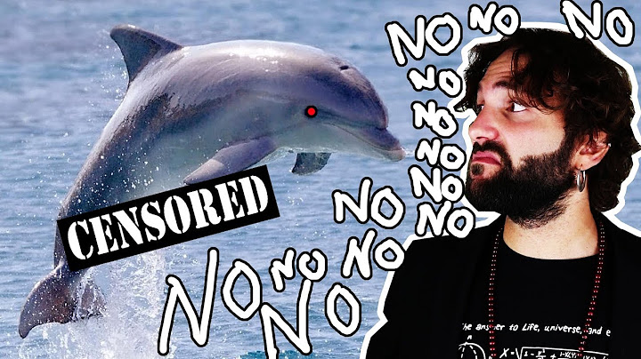Quello che NON volevi sapere sul delfino - SCIENZA BRUTTA