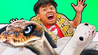 Giant Snake Hot Tub Bath Challenge! - (ft. @JayPrehistoricPetsTV)