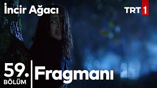 İncir Ağacı 59. Bölüm Fragmanı