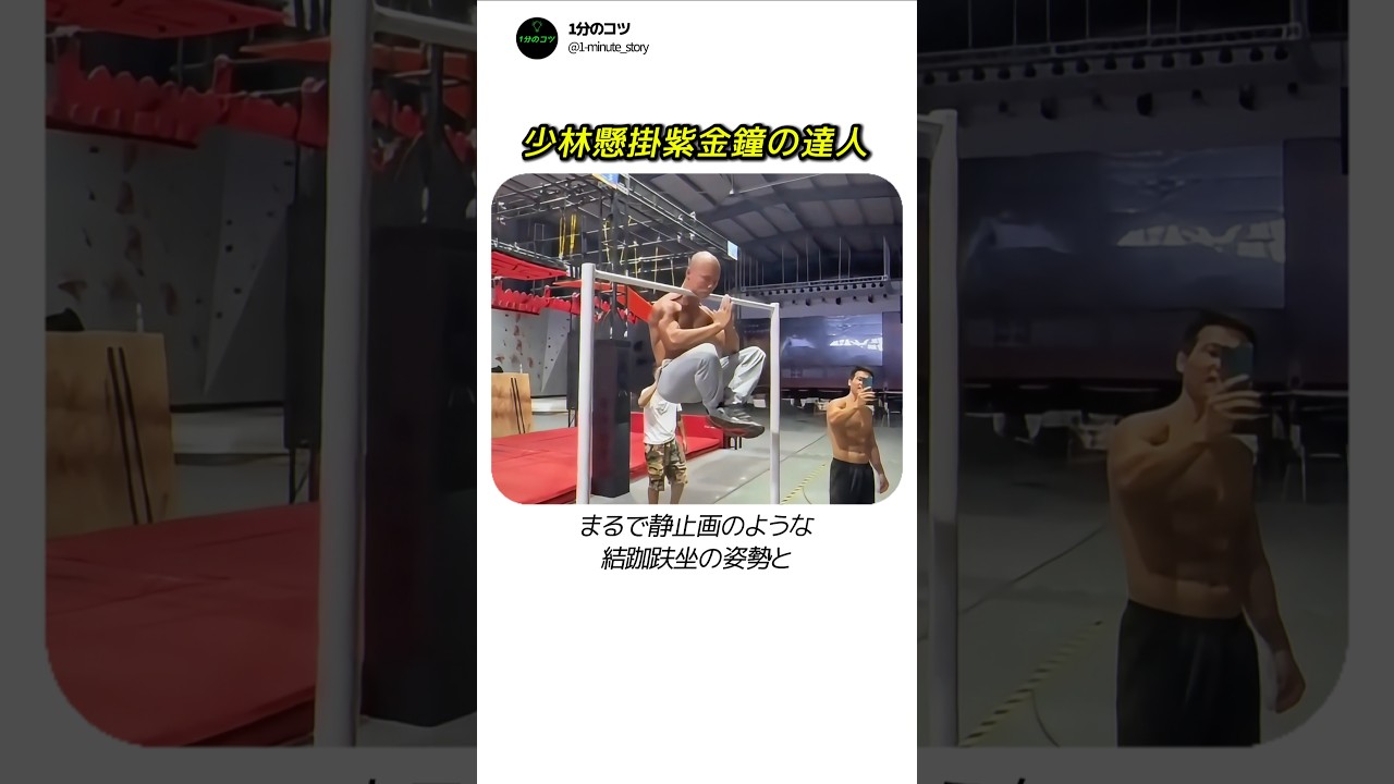 次元が違う少林達人の人間国旗