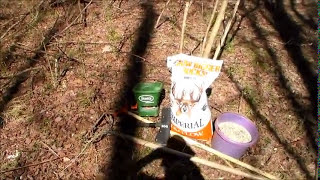 How to Plant a Small, Cheap Food Plot