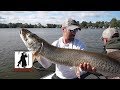 Keyes Outdoors Musky Hunting Adventures - A little Slimetime for Todd Hess