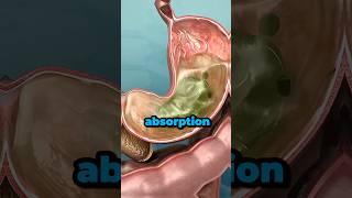 Best Es And Their Benefits For Health