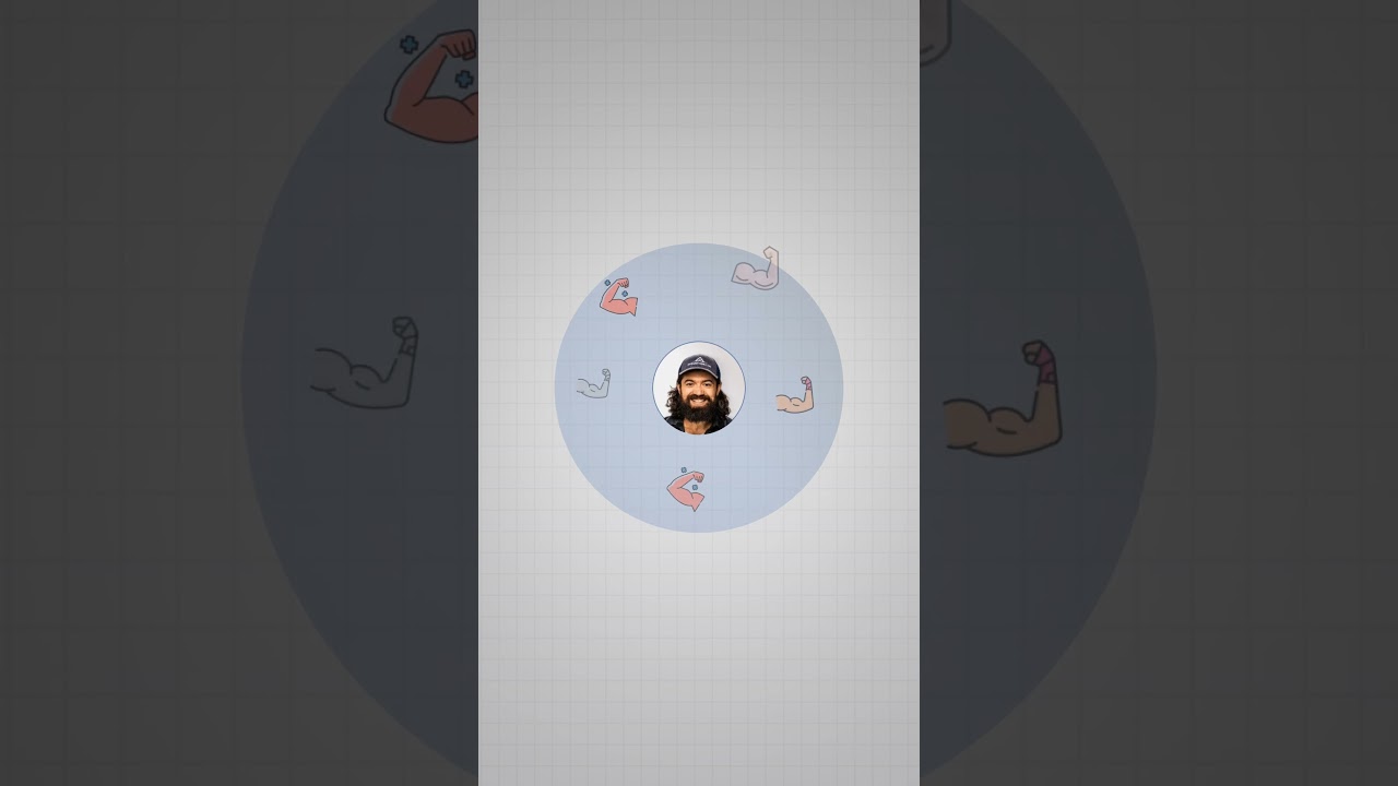 Alex Animation