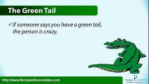 The Johari Window Model