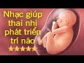 Bản nhạc hay nhất cho thai nhi nghe để phát triển trí não toàn diện - Phần 2 [GiupMe.com]