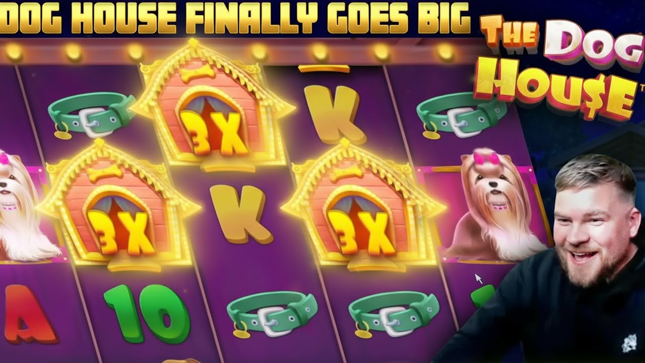 600x HIGH STAKES WIN ON THE DOG HOUSE!! 🐶💥