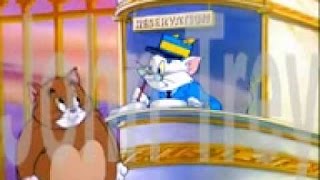 Tom and jerry 32 heavenly puss segment 14