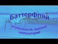 Баттерфляй. Комментарии подводной съёмки.