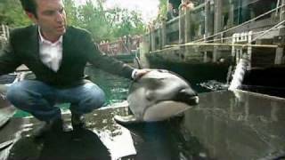 RMR: Rick at the Vancouver Aquarium