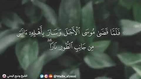 تلاوة خاشعة للشيخ #وديع_اليمني { أن يا موسى إني أنا الله رب العالمين }