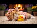 Calm Your Cat Fast 😻 Relaxing Music for Anxiety & Stress Relief 🌙