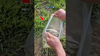 tips rahasia menemukan kunci yang terjatuh di air keruh #tips #bagaimana #fypシ゚viral #shorts
