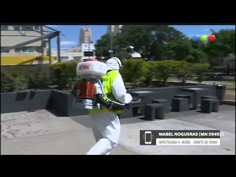 არგენტინაში ზიკას ვირუსის პირველი შემთხვევა დადასტურდა