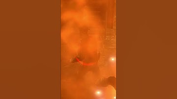 Swan Lake but with guns #alphaprotocol