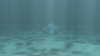 Celebrity Blender Underwater Lighting Test Wealth