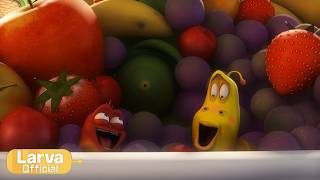 fruit animation compilation larva tuba official