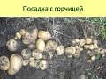 Картофель. Способы посадки