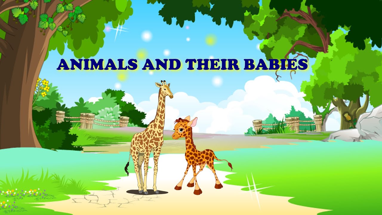 Animals And Their Babies | Animals And Young Ones | Pre-school Learning