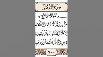 سورة التكاثر رعد محمد الكردي