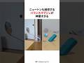 ニュートンも困惑するバランスオブジェが神業すぎる
