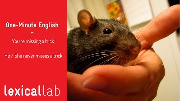 ONE-MINUTE ENGLISH: You