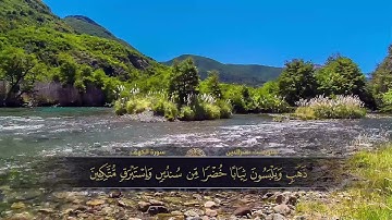 الختمة المكتوبة للقارئ هلويست نصرالدين - سورة الكهف |HD