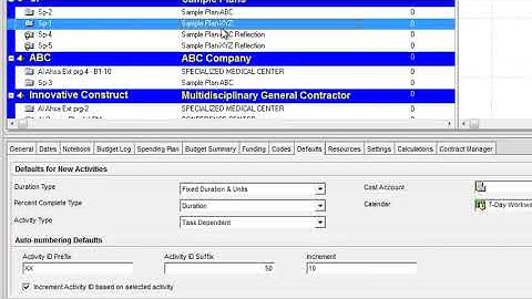 How to set as dafault prefix or suffix and increment of  activity id in primavera p6