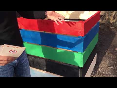 კომპოსტირება - ვიდეო #1